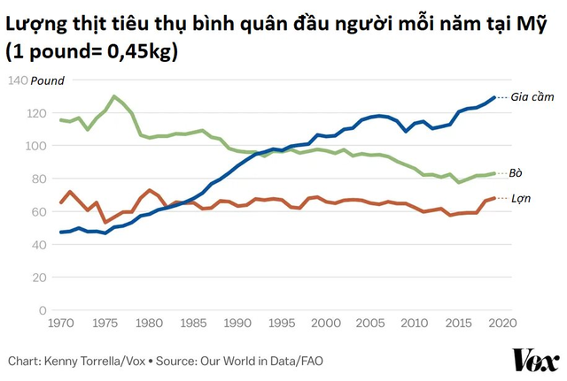 Khởi nguyên ngành chăn gà Mỹ: Từ sự nhầm lẫn cách đây 100 năm đến ngành công nghiệp 46 tỷ USD - Ảnh 3.