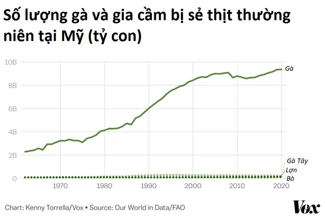 Khởi nguyên ngành chăn gà Mỹ: Từ sự nhầm lẫn cách đây 100 năm đến ngành công nghiệp 46 tỷ USD - Ảnh 5.