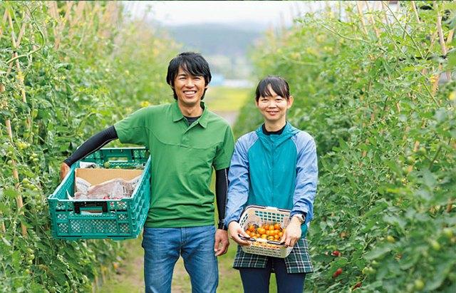 Đây là ngành học tiềm năng, có nhiều cơ hội việc làm nhưng học sinh chưa biết tới - Ảnh 1.