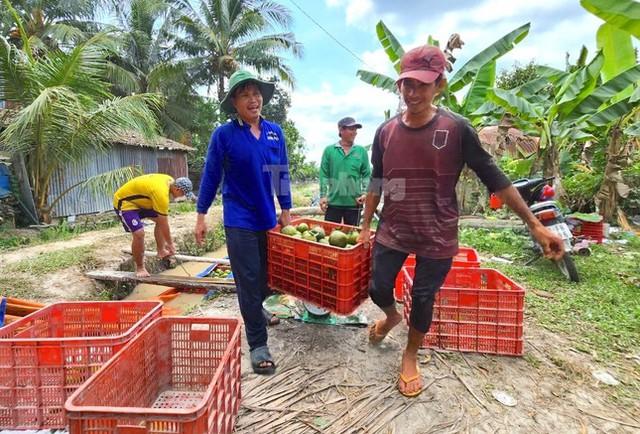 Giá cam sành bất ngờ vọt tăng sau chuỗi ngày lao dốc chưa từng có - Ảnh 1.