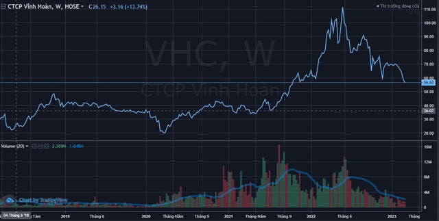 Cổ phiếu nữ hoàng cá tra trượt về vùng đáy 17 tháng, triển vọng nào cho năm 2023? - Ảnh 1.