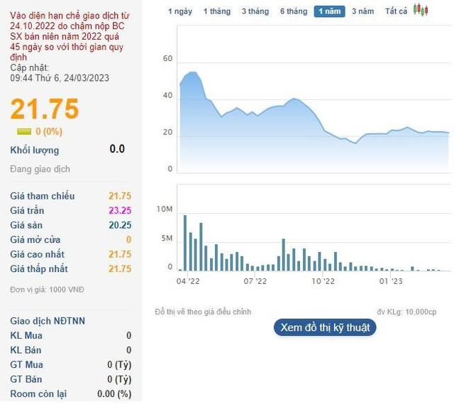 Một doanh nghiệp bất động sản KCN lên kế hoạch lợi nhuận 2023 đi lùi, cổ phiếu vẫn trong diện hạn chế giao dịch - Ảnh 2.