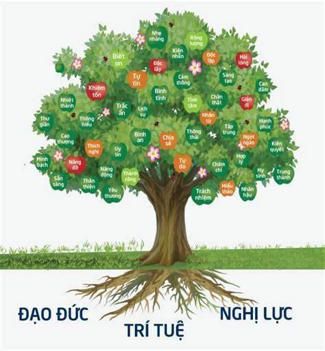 Ảnh minh họa. Nguồn: Internet