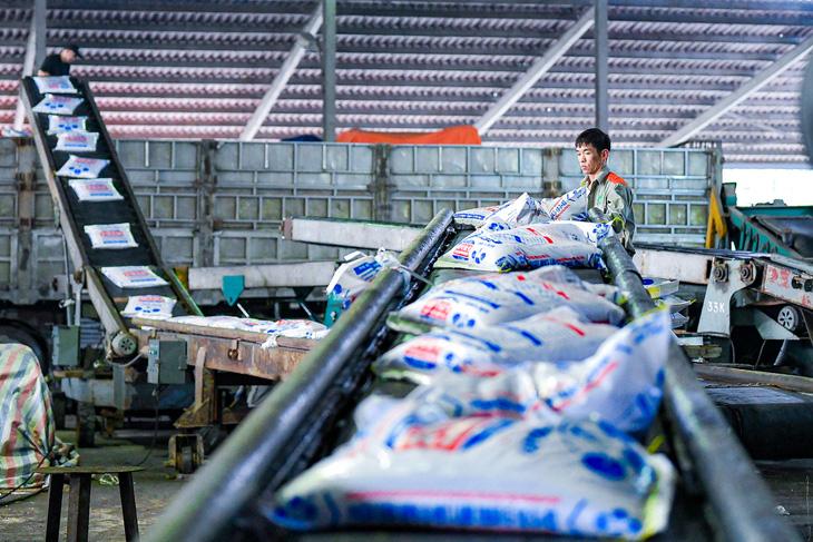 ‘Chìa khóa’ góp phần giúp nông dân đổi đời - Ảnh 5. Công nhân vận chuyển sản phẩm lên xe để đưa đi phân phối - Ảnh: NAM TRẦN