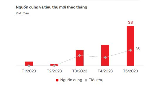 Đón tin vui condotel, biệt thự du lịch... được cấp sổ đỏ nhưng vì sao bất động sản nghỉ dưỡng vẫn ảm đạm - Ảnh 2.