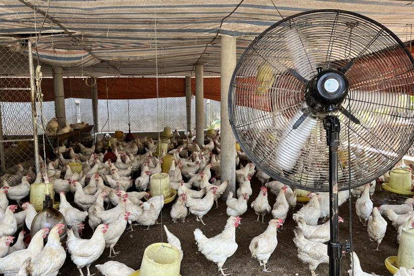 Cuộc sống người dân vùng Bắc Trung Bộ đảo lộn vì thiếu điện ảnh 3