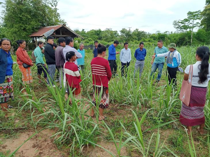 Nụ cười tình nguyện tại nước bạn Lào - Ảnh 3.