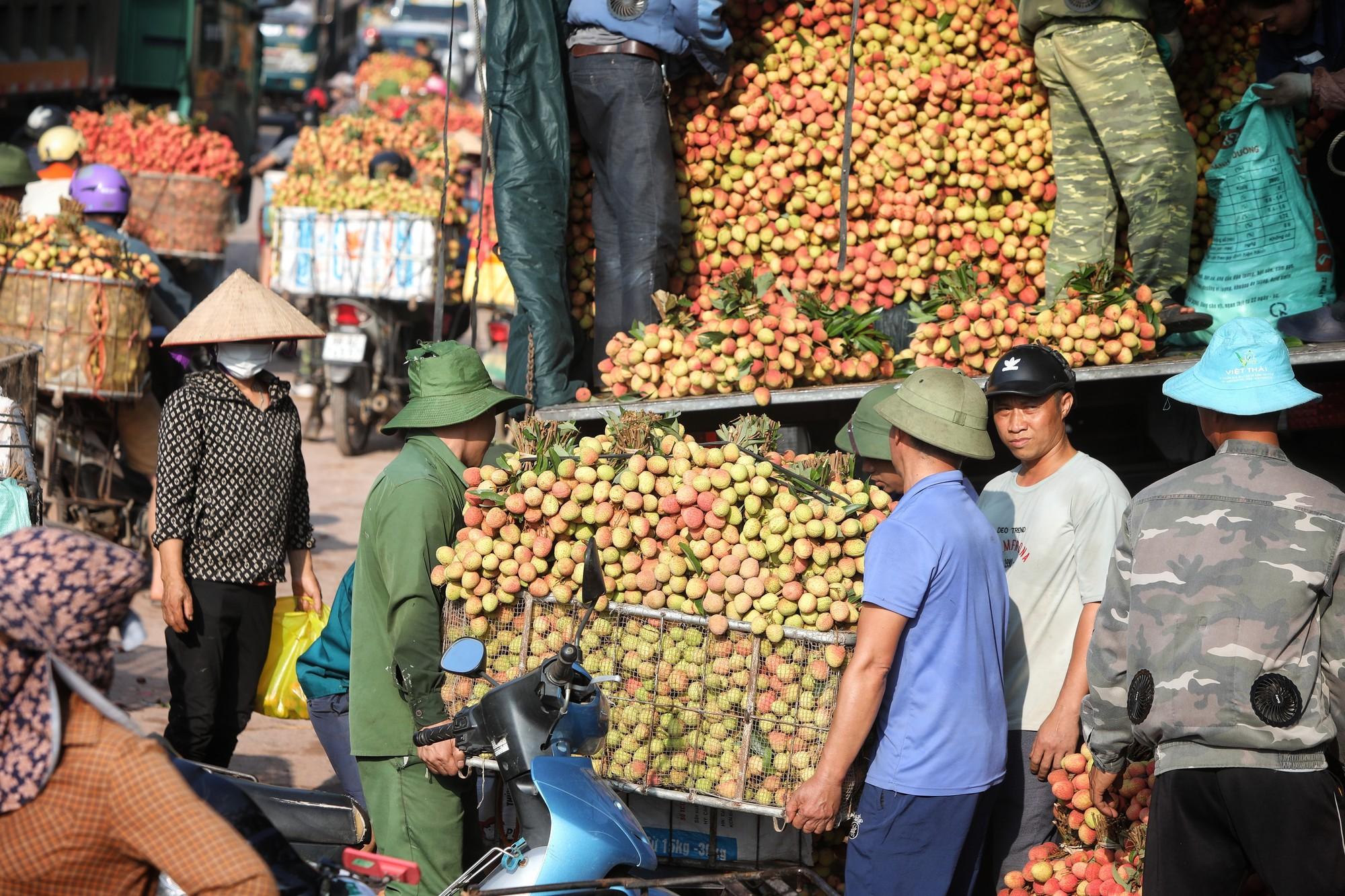 Phu vải kiếm tiền triệu mỗi ngày tại thủ phủ vải thiều - Ảnh 1.