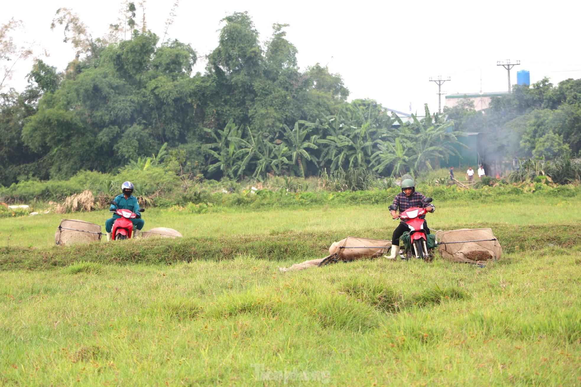 Vượt hơn 80km để săn châu chấu, nông dân Nghệ An kiếm tiền triệu mỗi ngày - Ảnh 9.