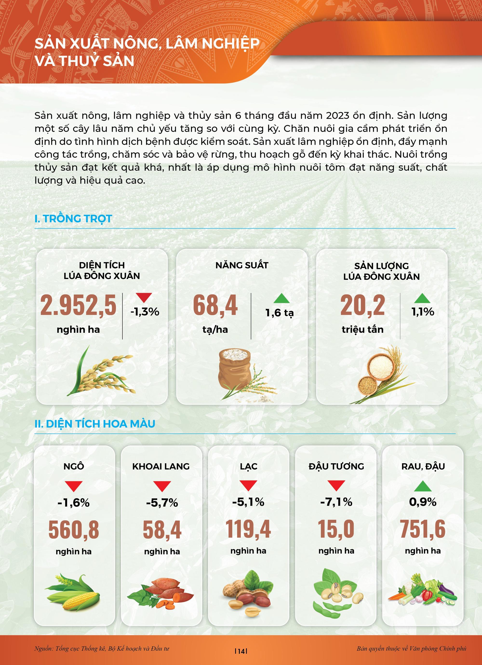 INFOGRAPHICS: Bức tranh kinh tế xã hội sau nửa chặng đường 2023 - Ảnh 10.