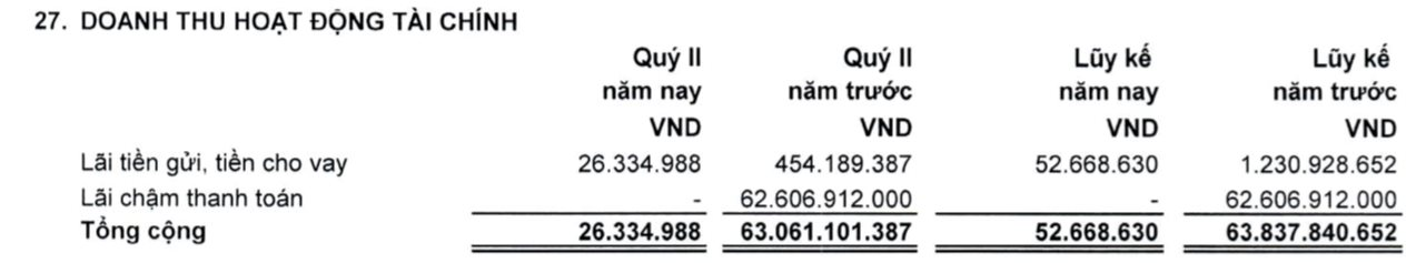 Doanh thu vỏn vẹn hơn 300 triệu đồng, Đầu tư LDG báo báo lỗ 74 tỷ đồng trong quý 2/2023 - Ảnh 2.