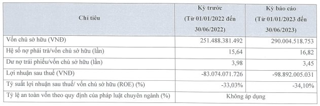 Hai công ty BĐS của nữ đại gia 8x phát hành hàng nghìn tỷ trái phiếu, tiếp tục "lỗ đậm" nửa đầu năm 2023 - Ảnh 5.