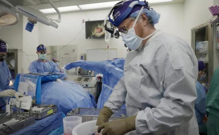 Bác sĩ Robert Montgomery, giám đốc Viện Cấy ghép của NYU Langone, chuẩn bị thận heo để cấy ghép cho một người đàn ông chết não ở New York vào ngày 14-7 - Ảnh: AP