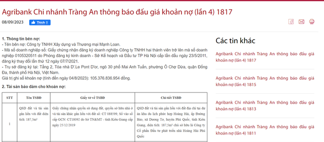 Ngân hàng tiếp tục rao bán BĐS của Tân Hoàng Minh - Ảnh 1.