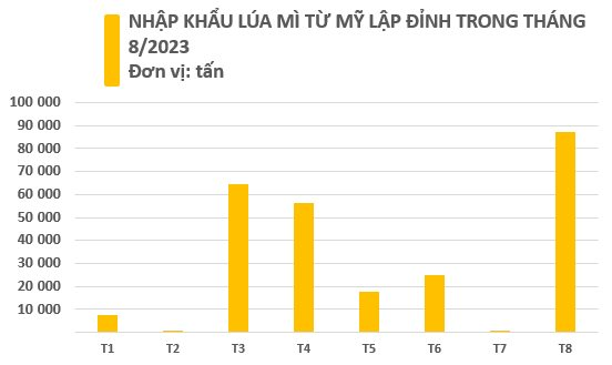 Giá rẻ kỷ lục, một loại nông sản của Mỹ đổ bộ Việt Nam trong tháng 8, nhập khẩu tăng đột biến hơn 13.000% chỉ trong 1 tháng - Ảnh 2.