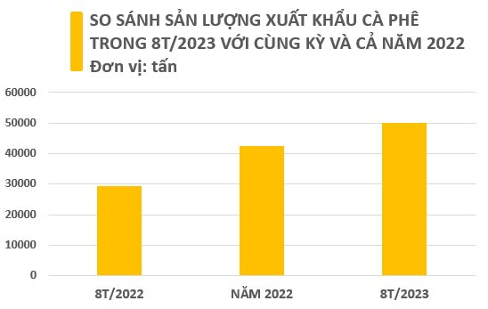 Bất chấp giá đắt đỏ, hạt cà phê Việt cực kỳ được ưa chuộng tại một quốc gia châu Phi - nhập khẩu trong 8 tháng đã vượt cả năm 2023 - Ảnh 2.