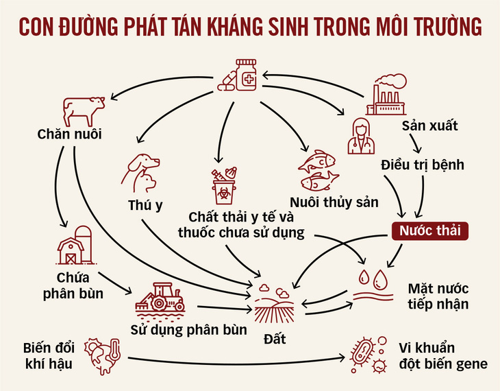 Đồ họa: TẤN ĐẠT