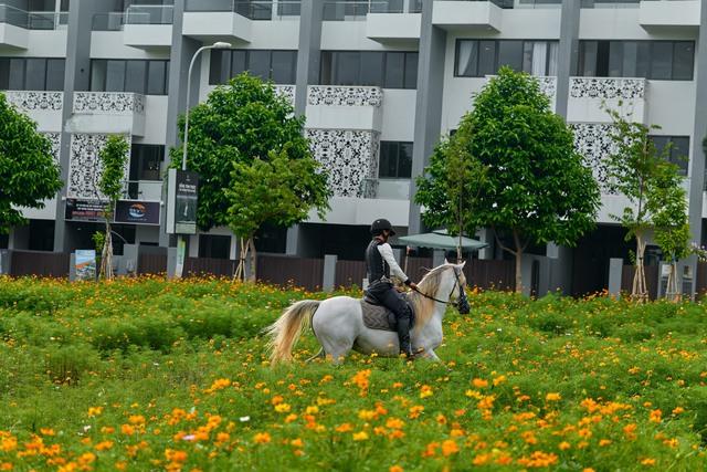 Ông Đặng Lê Nguyên Vũ "xoay xở" ra sao khi thị trường bất động sản trầm lắng: Nhà phố liền kề đem kinh doanh lưu trú, chuẩn bị xây khách sạn lớn nhất Tây Nguyên? - Ảnh 2.