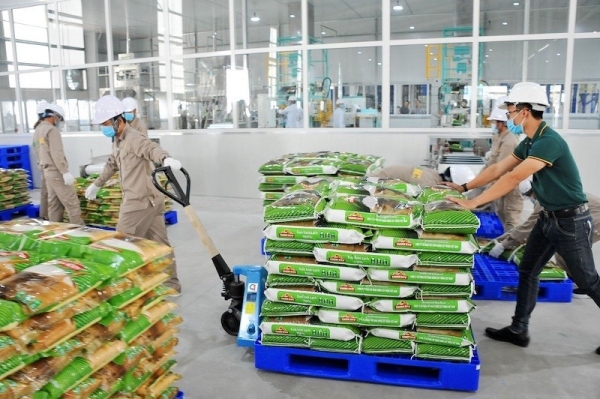 Giá gạo Việt Nam tiếp tục duy trì ở mức cao.