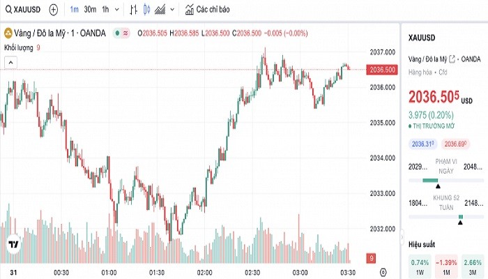 Biểu đồ biến động giá vàng trong 24 giờ qua