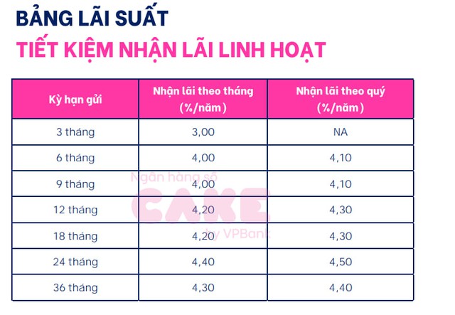 Lãi suất huy động ngân hàng số Cake by VPBank mới nhất tháng 3/2024: Mức cao nhất là bao nhiêu?- Ảnh 3.