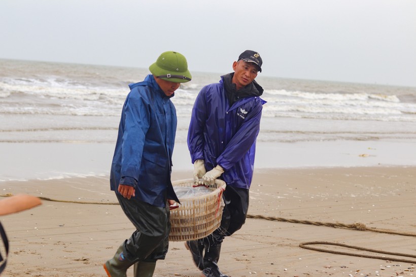 Năm nay, mùa sứa đến sớm hơn và sản lượng đầu mùa cũng khá dồi dào, với giá bán sứa tươi từ 20 đến 25 nghìn đồng/con, trung bình mỗi ngày đi biển ngư dân kiếm được từ 3-10 triệu đồng/ngày.