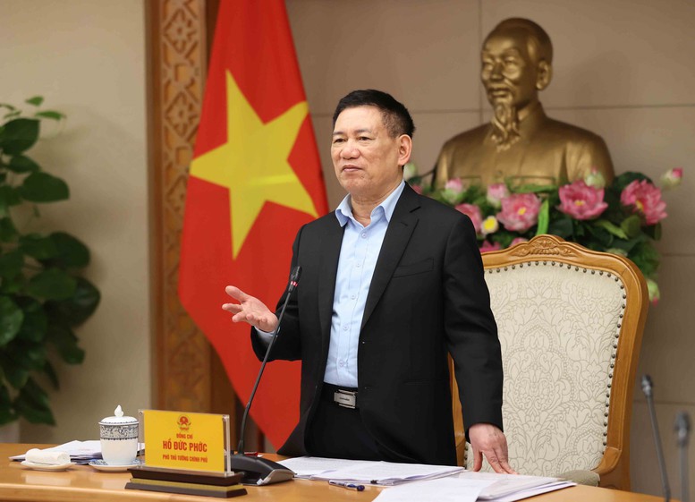 Phó Thủ tướng Hồ Đức Phớc phát biểu kết luận cuộc họp. Ảnh VGP/Trần Mạnh