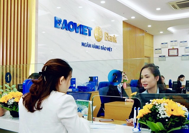 BAOVIET Bank 2024: Tăng trưởng ổn định, đẩy mạnh chuyển đổi số- Ảnh 1.