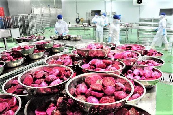 Tốc độ giá trị gia tăng nông, lâm nghiệp và  thủy sản quý I/2025 đạt 3,74%