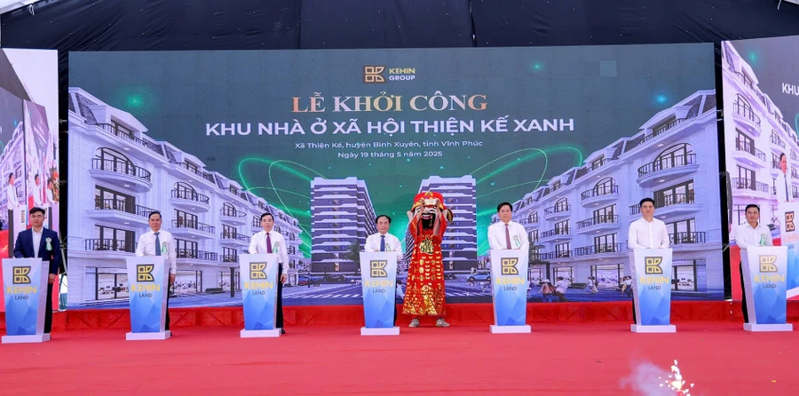 Dự án