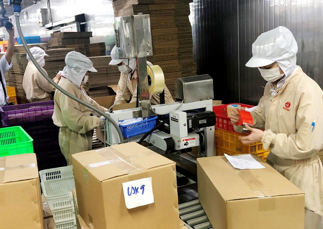 Đơn giản hóa  thủ tục về liên quan đến đất đai cho doanh nghiệp.