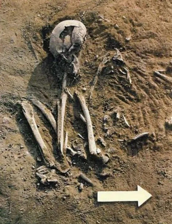 phat-hien-bo-xuong-6000-tuoi-o-colombia-co-the-lam-dao-lon-lich-su-nhan-loai-2.jpg