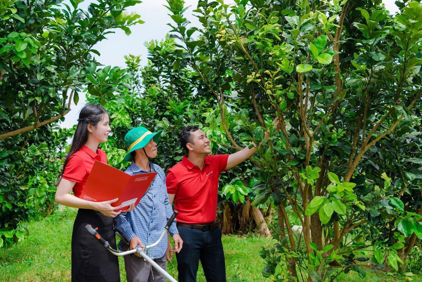 Cùng với chiến lược phát triển ESG và Phát triển bền vững, Agribank từng bước vượt qua thách thức, kiến tạo hiệu quả nền tài chính xanh.