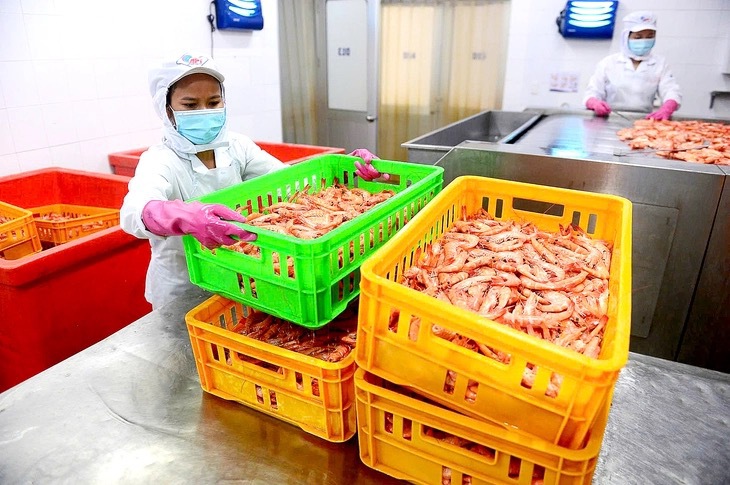 Thuế đối ứng với Mỹ: Kích hoạt đầu tư nhờ ưu đãi hàng Mỹ, hàng xuất khẩu nào hưởng lợi? - Ảnh 1. thuế đối ứng - Ảnh 1.