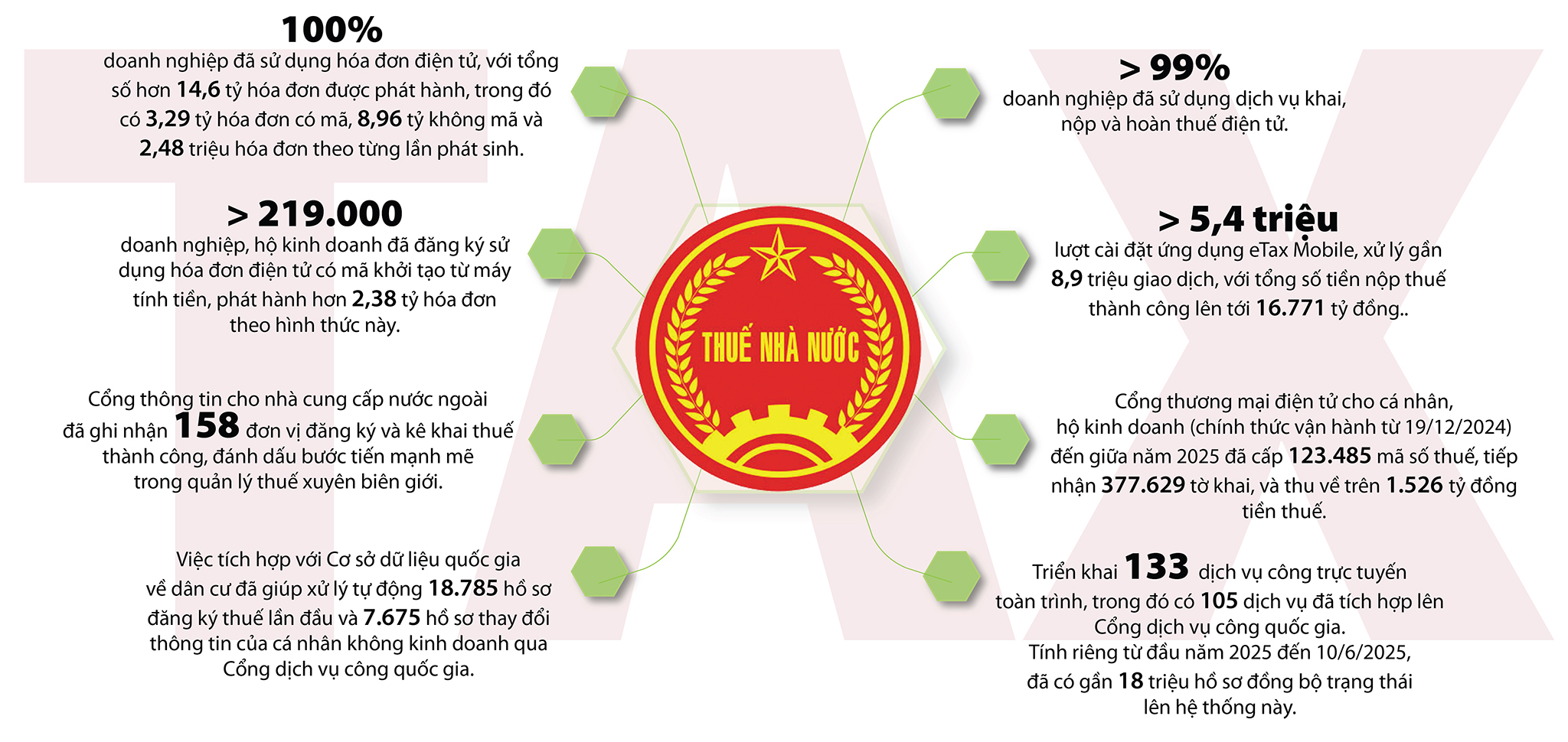 EMAGAZINE: Đổi mới tư duy hướng tới cải cách thuế bền vững - Ảnh 15
