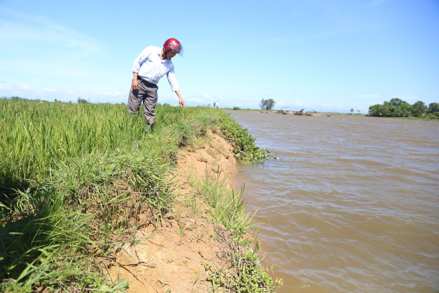 Nhiều đoạn đê bị xâm thực qua các đợt mưa lũ, hiện chỉ còn rộng chưa đầy 30cm. sat-lo-dat-ruong-2.jpg