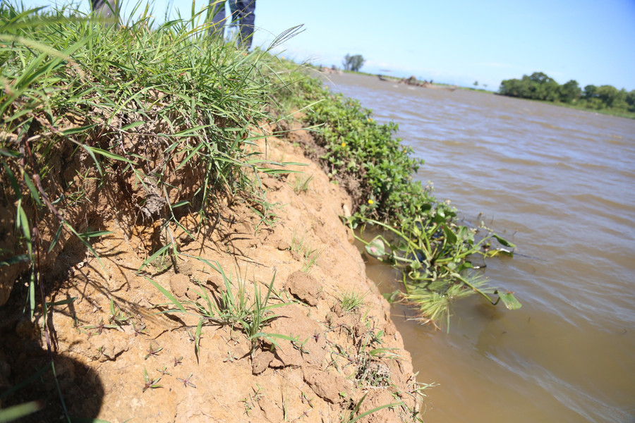 Đoạn đê bảo vệ ruộng đang bị sạt lở nặng. sat-lo-dat-ruong-3.jpg