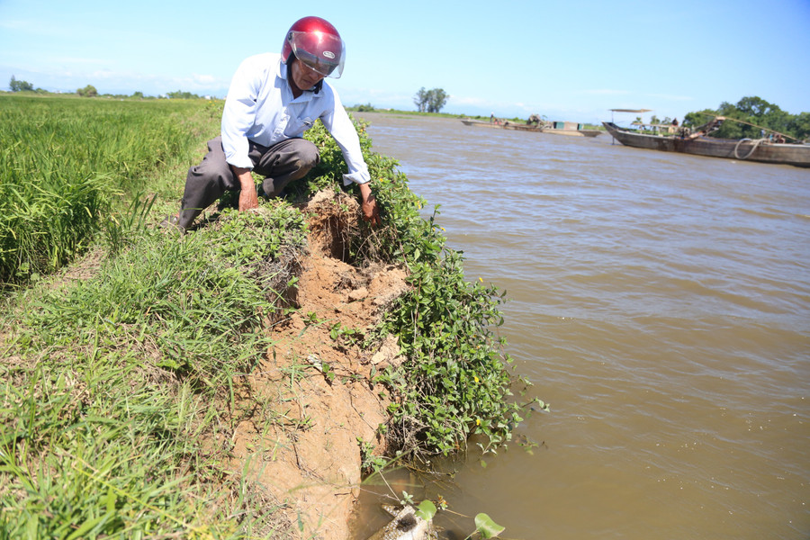 Ông Nguyễn Công Khánh lo lắng khi hàng chục ha lúa của bà con sẽ bị ảnh hưởng bởi việc hút cát.