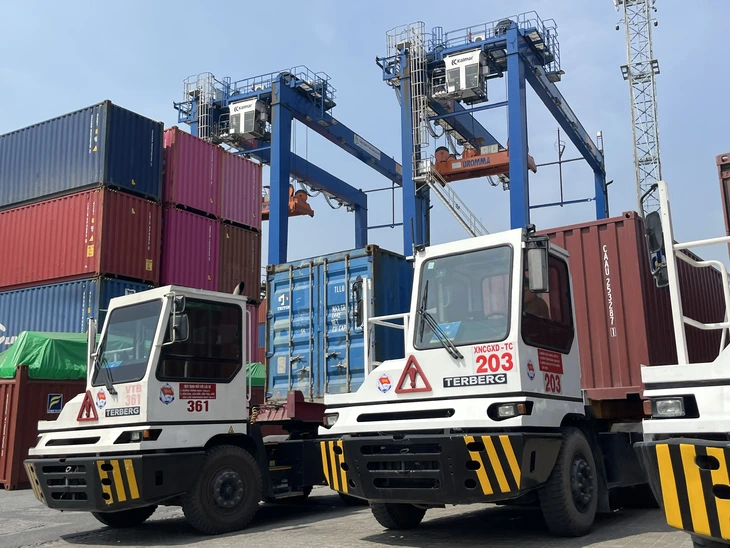 Mũi nhọn để đưa TP.HCM là trung tâm xuất nhập khẩu hàng đầu khu vực - Ảnh 1.