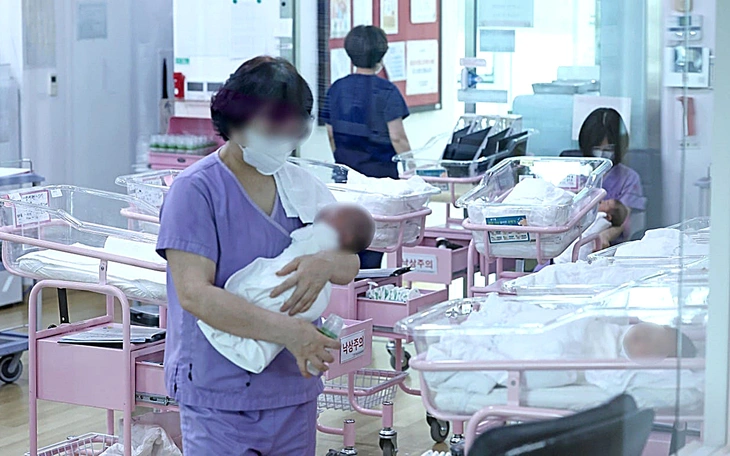 Hộ gia đình độc thân trở thành xu hướng ở Hàn Quốc, vượt mốc 10 triệu người - Ảnh 2.