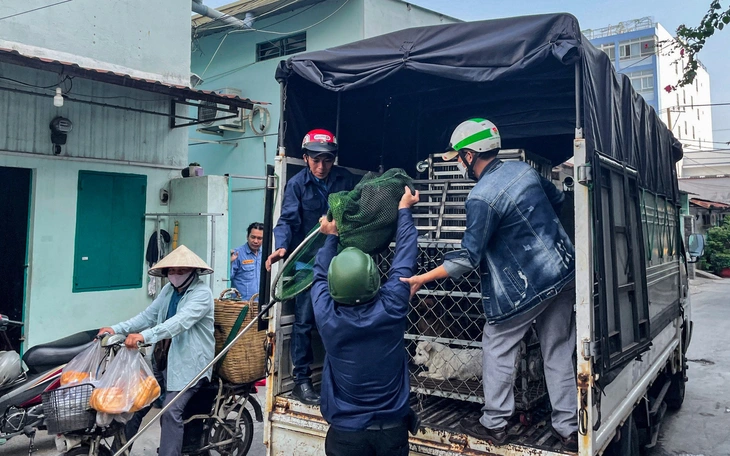 Sớm có một đầu số khẩn cấp quốc gia - Ảnh 4.