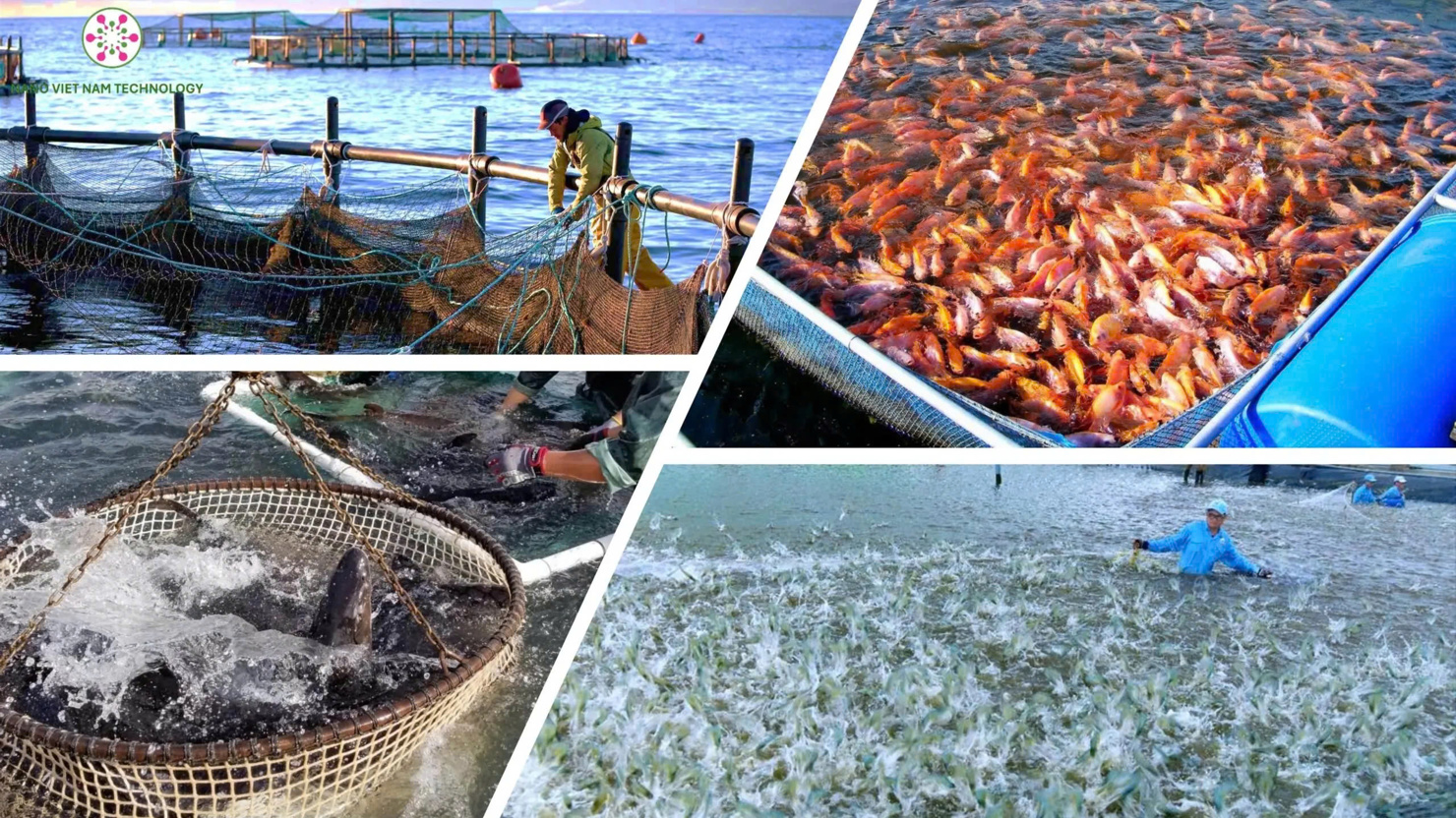 Ảnh minh hoạ. Nguồn: Internet