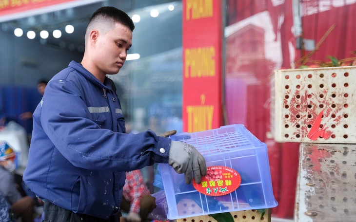 Để 'dân số vàng' không mất giá - Ảnh 3.