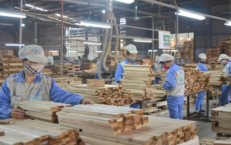 Người lao động được tiếp cận trực tiếp với đơn vị tuyển dụng. 1000044457.jpg