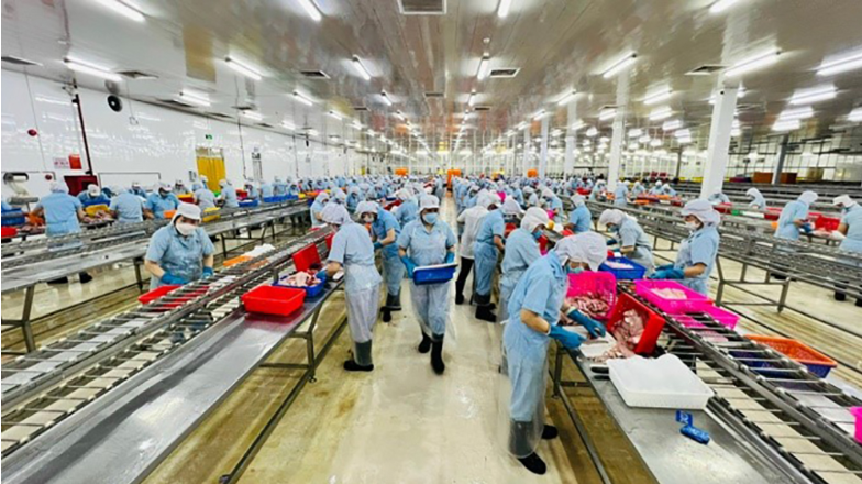 Công nghiệp An Giang duy trì đà tăng trưởng, tiếp tục là động lực kinh tế chủ lực