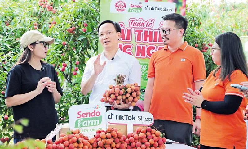 Phó Chủ tịch UBND tỉnh Bắc Ninh Phạm Văn Thịnh (áo trắng) tham gia buổi livestream, giúp bà con nông dân bán vải thiều. Ảnh: Khương Lực