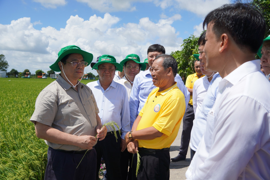 Thủ tướng Chính phủ Phạm Minh Chính trong một lần đến thăm và làm việc với Hợp tác xã Dịch vụ nông nghiệp Thắng Lợi (tỉnh Đồng Tháp).