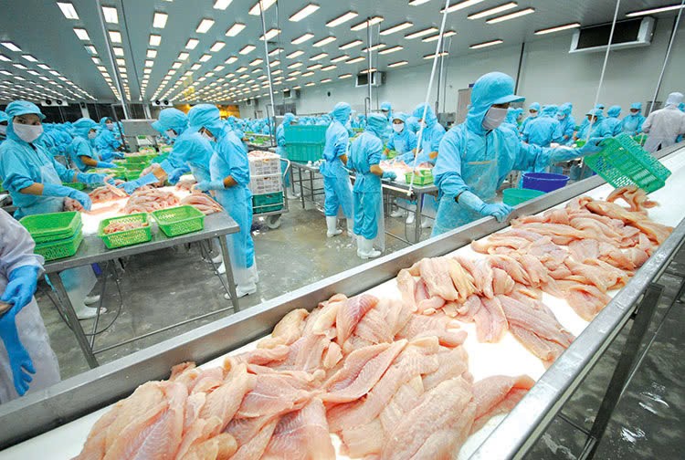 Kinh tế tuần hoàn, cơ hội cho ngành thủy sản chuyển mình.