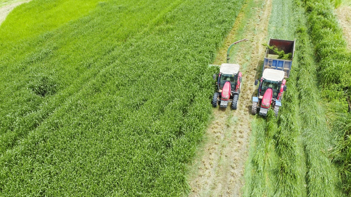 CEO Quỹ đầu tư IIX: Việt Nam thu hút vốn đầu tư tác động cao nhất khu vực