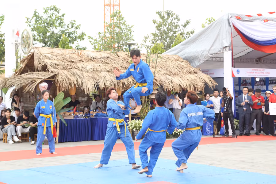 Đồng diễn võ thuật Vovinam. h17.jpg